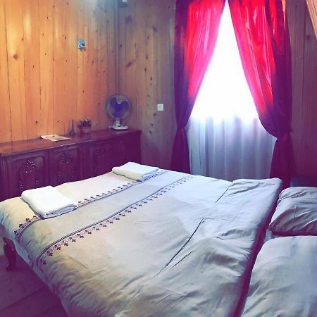 Guesthouse Greenside Borjomi Esterno foto