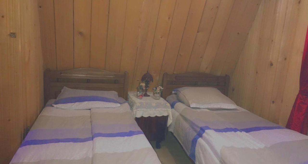 Guesthouse Greenside Borjomi Esterno foto