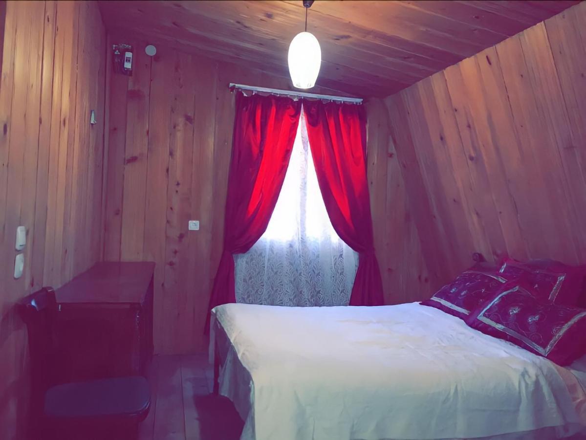 Guesthouse Greenside Borjomi Esterno foto